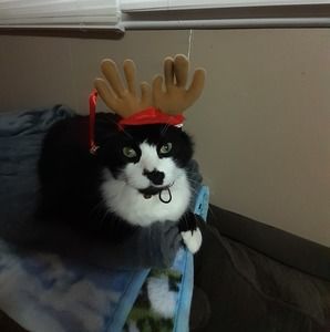 Meet your Posher, Wendy